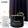 Wooborn Cooling Soothing Day Lotion for Men – aftershave relief and hydration